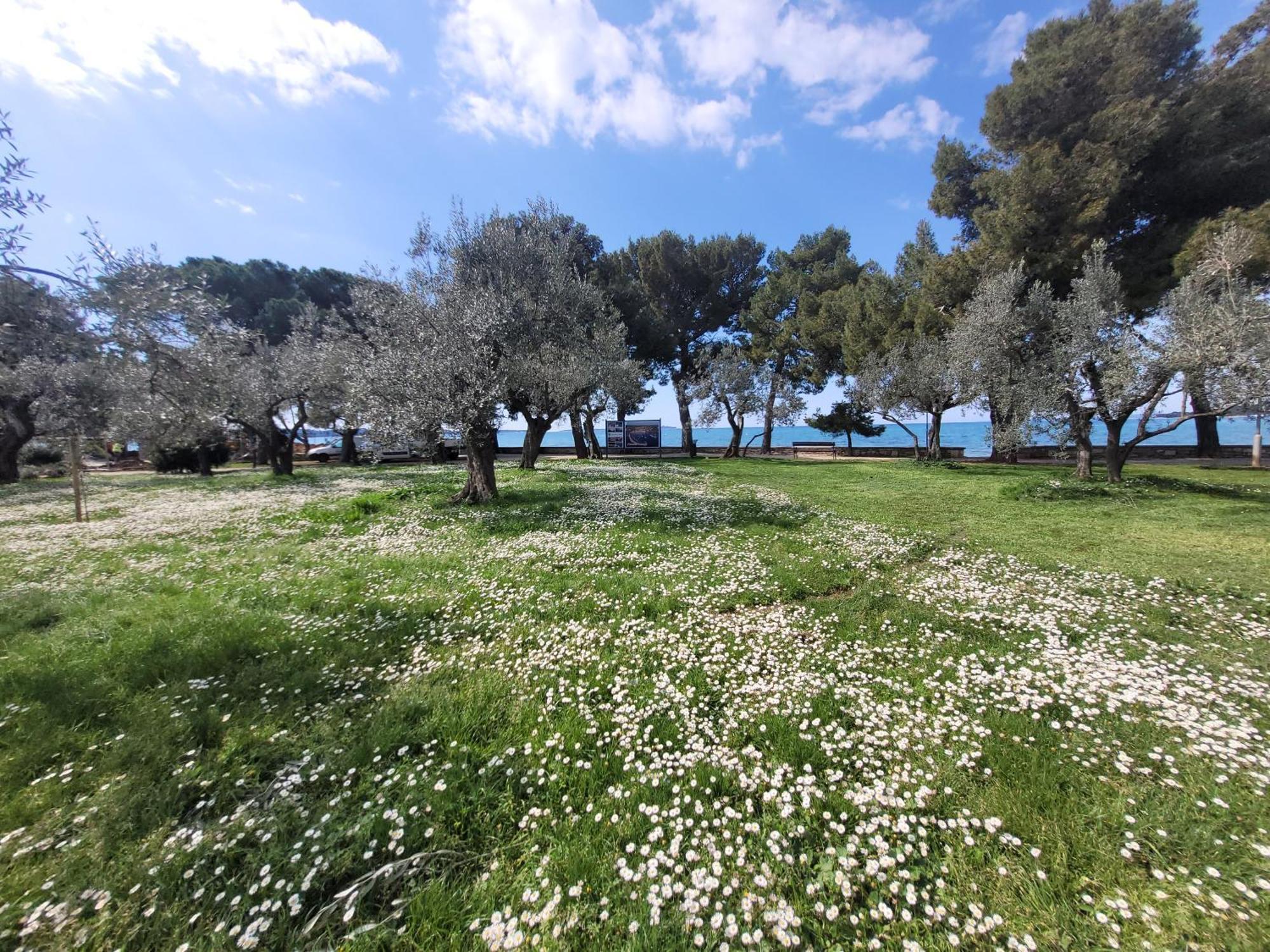 Ferienwohnung mit beheiztem Pool Kroatien Herbst und Winter Lovran Exterior foto